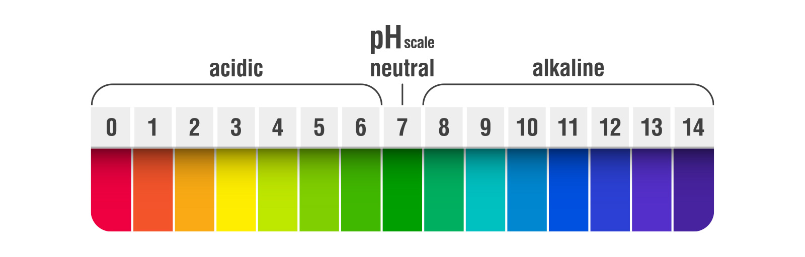 Learn the Truth About Alkaline Water 